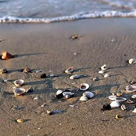 Hotel Sea View Spectacular Beachfront - Place With Umbrella Included Bibione